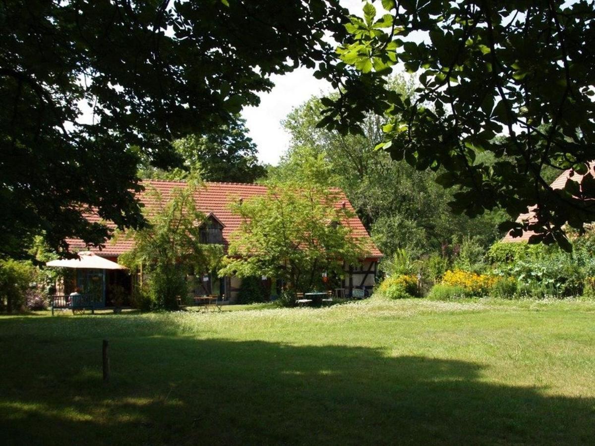 Ferienwohnung Am Roten Schloss Glashutte  エクステリア 写真